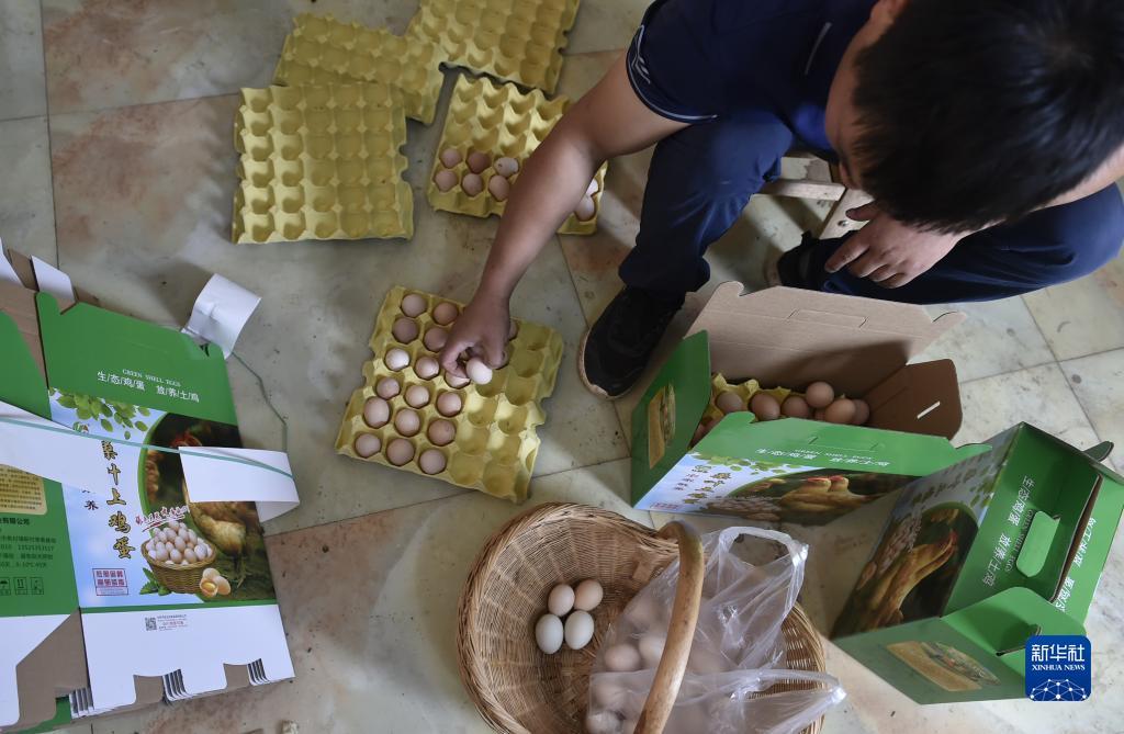 电脑版凤凰官网首页